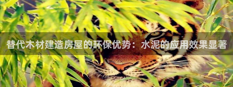 威九国际网站怎么样：替代木材建造房屋的环保优势：水泥的应用效果显著