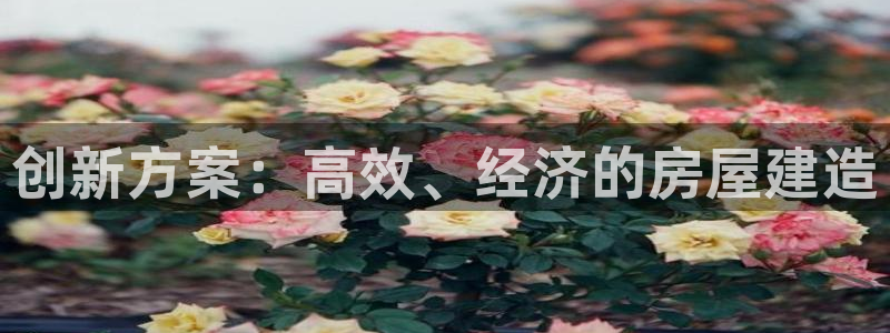 保定威九网络科技有限公司招聘：创新方案：高效、经济的房屋建造