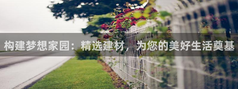 威九国际66m-66