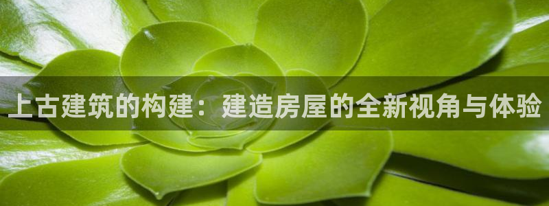 78mapp威九国际官网版：上古建筑的构建：建造房屋的全新视角与体验