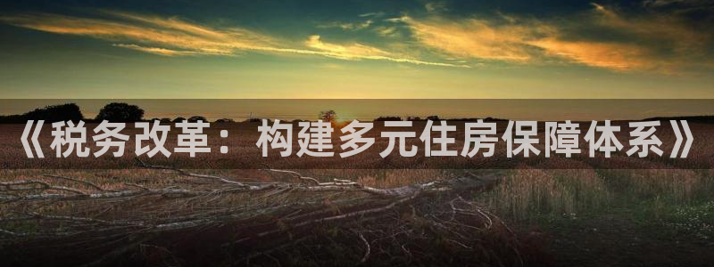 威九国际韩国：《税务改革：构建多元住房保障体系》