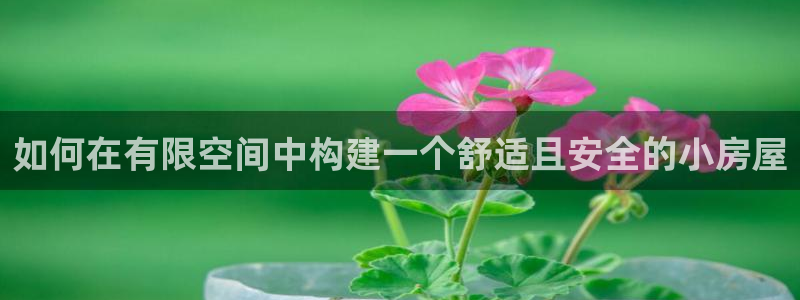 威九国际66m66：如何在有限空间中构建一个舒适且安全的小房屋