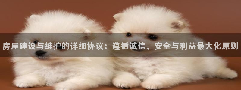 威九国际取款多到账：房屋建设与维护的详细协议：遵循诚信、安全与利益最大化原则
