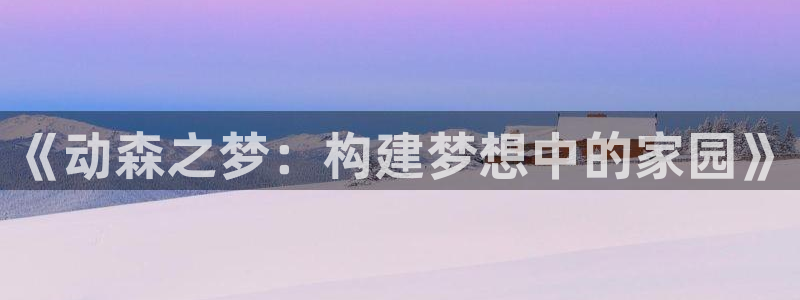 威九国际最新：《动森之梦：构建梦想中的家园》