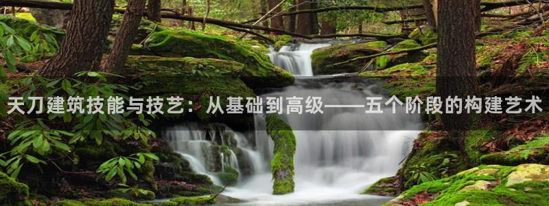 威九国际可以退钱吗怎么退款：天刀建筑技能与技艺：从基础到高级——五个阶段的构建艺术