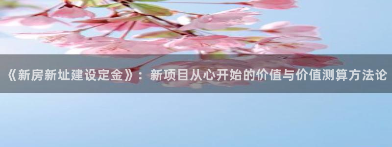 威九国际ppt免费吗：《新房新址建设定金》：新项目从心开始的价值与价值测算方法论