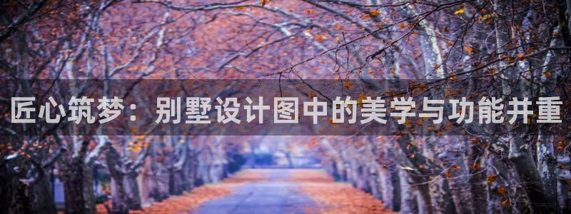 威九国际后爸：匠心筑梦：别墅设计图中的美学与功能并重