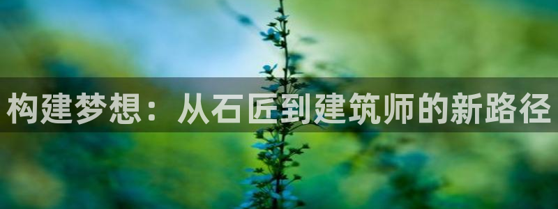 威九国际网站链接：构建梦想：从石匠到建筑师的新路径