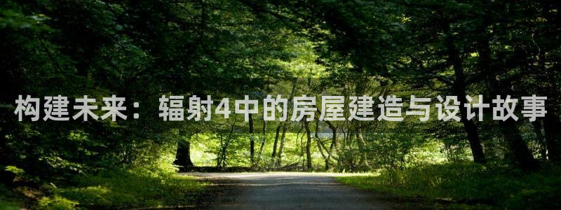 威九国际取款机怎么取：构建未来：辐射4中的房屋建造与设计故事