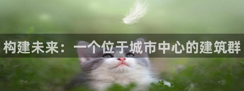威九国际v96242cc官网版：构建未来：一个位于城市中心的建筑群