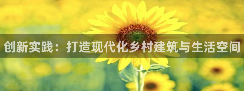 66m威九国际精选：创新实践：打造现代化乡村建筑与生活空间