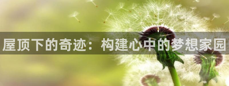 78mapp威九国际官网：屋顶下的奇迹：构建心中的梦想家园