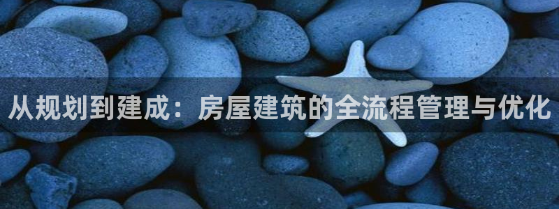 威九国际最新网站：从规划到建成：房屋建筑的全流程管理与优化
