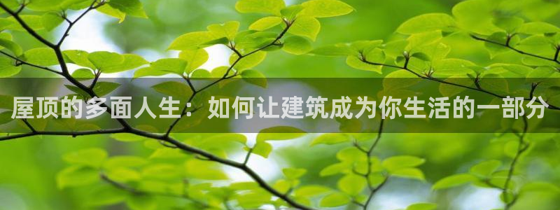 威九国际X8：屋顶的多面人生：如何让建筑成为你生活的一部分