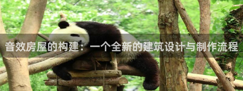 威九国际66在线：音效房屋的构建：一个全新的建筑设计与制作流程