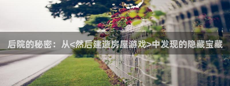 威九国际网站影视：后院的秘密：从<然后建造房屋游戏>中发现的隐藏宝藏
