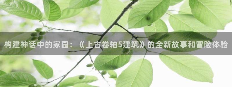 威九国际坑人的嘛：构建神话中的家园：《上古卷轴5建筑》的全新故事和冒险体验