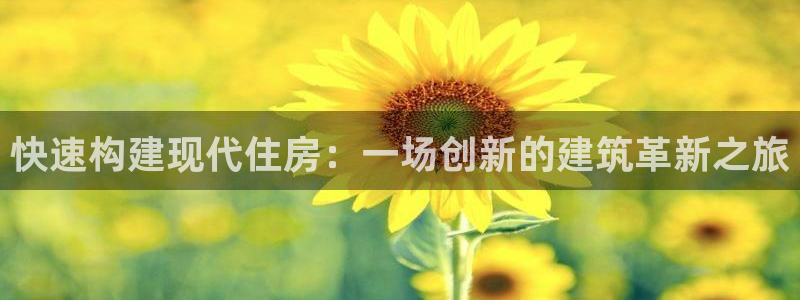 威九国际真人游戏：快速构建现代住房：一场创新的建筑革新之旅