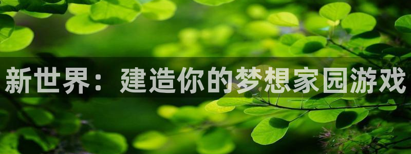 78mapp威九国际网页版：新世界：建造你的梦想家园游戏
