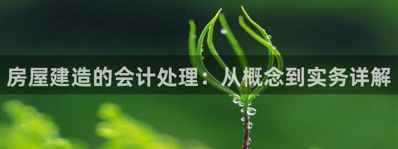 威九国际网站登录：房屋建造的会计处理：从概念到实务详解