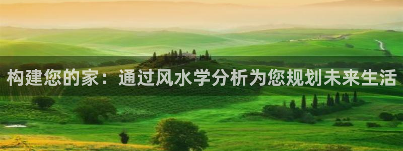 威九国际X8：构建您的家：通过风水学分析为您规划未来生活