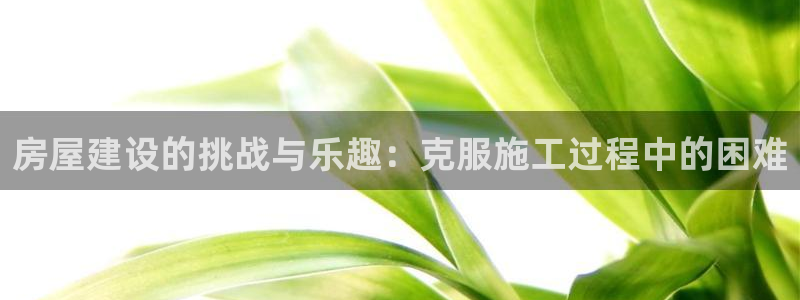 威九国际可以提现吗安全吗：房屋建设的挑战与乐趣：克服施工过程中的困难