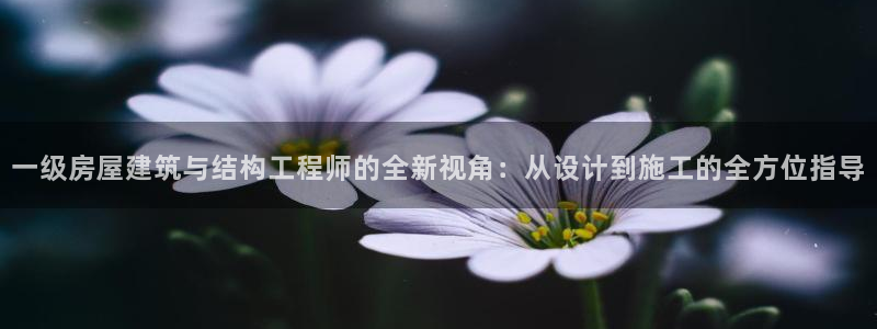 威九国际网站为什么不禁止：一级房屋建筑与结构工程师的全新视角：从设计到施工的全方位指导