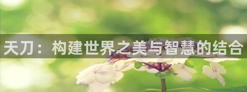 威九国际可以退钱吗怎么退的：天刀：构建世界之美与智慧的结合