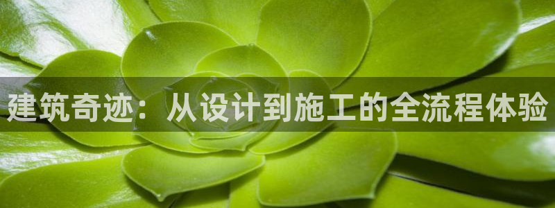 威九国际66m66模式视频：建筑奇迹：从设计到施工的全流程体验