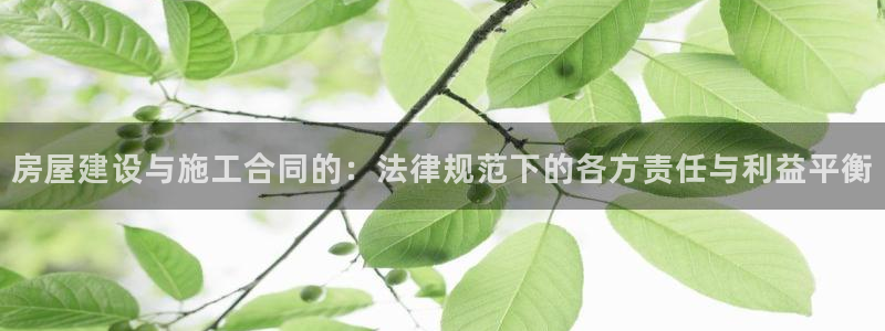 威九国际78mB：房屋建设与施工合同的：法律规范下的各方责任与利益平衡