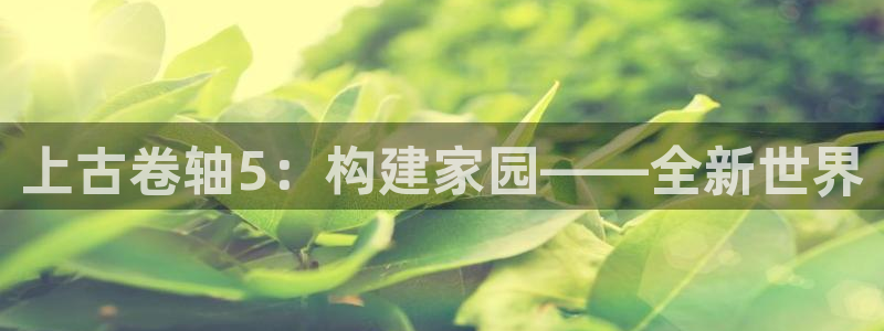威九国际系列：上古卷轴5：构建家园——全新世界