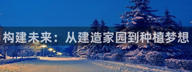 威九国际软件公司简介：构建未来：从建造家园到种植梦想