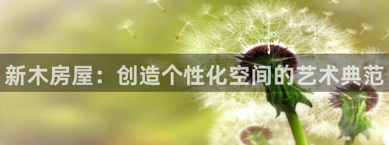 威九国际FF：新木房屋：创造个性化空间的艺术典范