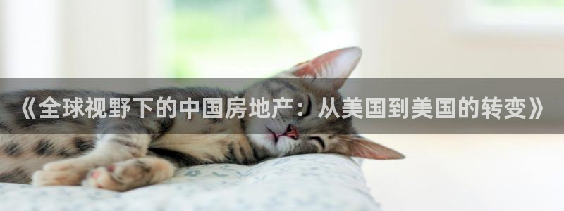 威九国际66视频：《全球视野下的中国房地产：从美国到美国的转变》
