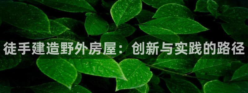 威九国际视频传媒招聘：徒手建造野外房屋：创新与实践的路径