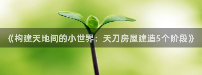 威九国际惠子：《构建天地间的小世界：天刀房屋建造5个阶段》