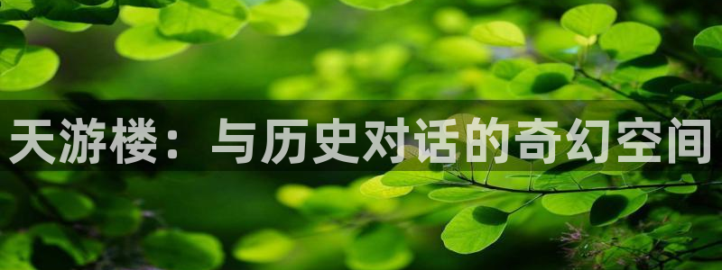 保定威九网络科技有限公司招聘：天游楼：与历史对话的奇幻空间