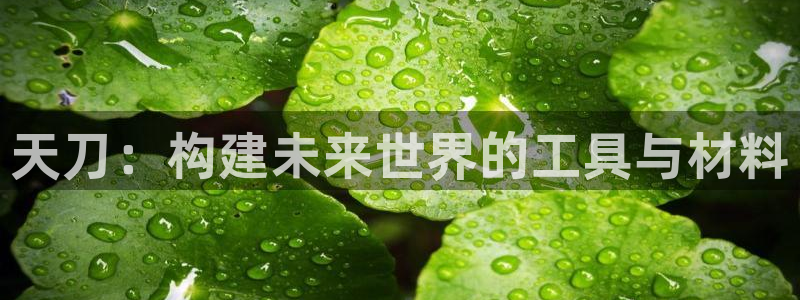 威九国际网站进入AB,AB：天刀：构建未来世界的工具与材料