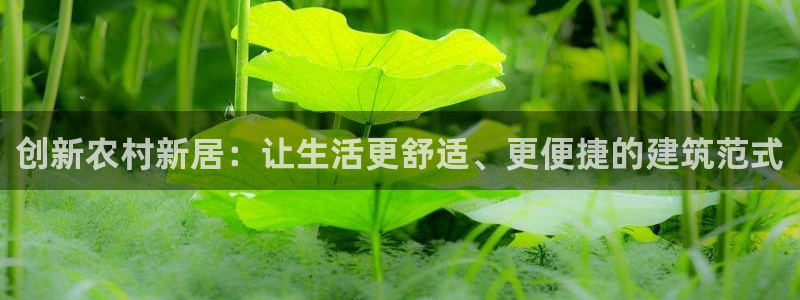 威九国际app客服电话多少：创新农村新居：让生活更舒适、更便捷的建筑范式