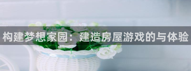 威九国际的金融服务：构建梦想家园：建造房屋游戏的与体验