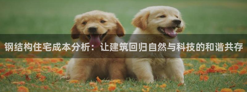 威九国际app网站安全吗：钢结构住宅成本分析：让建筑回归自然与科技的和谐共存