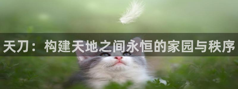 威九国际下载：天刀：构建天地之间永恒的家园与秩序
