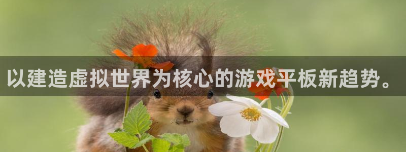 威九国际78m78：以建造虚拟世界为核心的游戏平板新趋势。