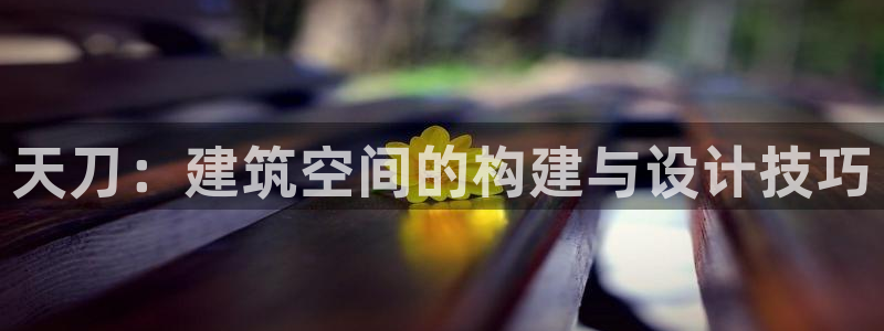 威九国际体育app下载：天刀：建筑空间的构建与设计技巧