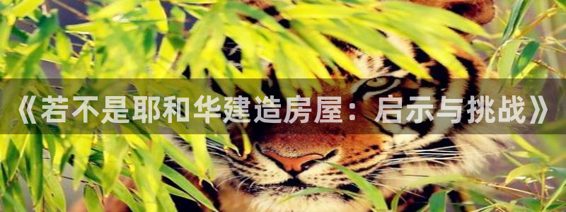 威九国际男主：《若不是耶和华建造房屋：启示与挑战》