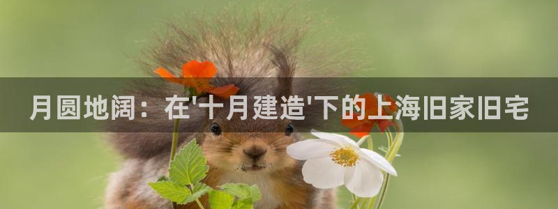 威九国际演员名单：月圆地阔：在\'十月建造\'下的上海旧家旧宅