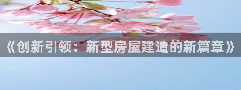 威九国际取款不到账：《创新引领：新型房屋建造的新篇章》