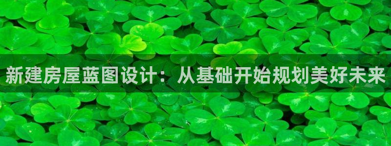 威九国际女主角：新建房屋蓝图设计：从基础开始规划美好未来