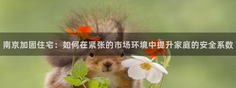 威九国际网站人入口：南京加固住宅：如何在紧张的市场环境中提升家庭的安全系数