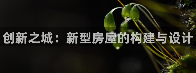 威九国际app客服电话：创新之城：新型房屋的构建与设计